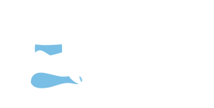 Snowtime bar